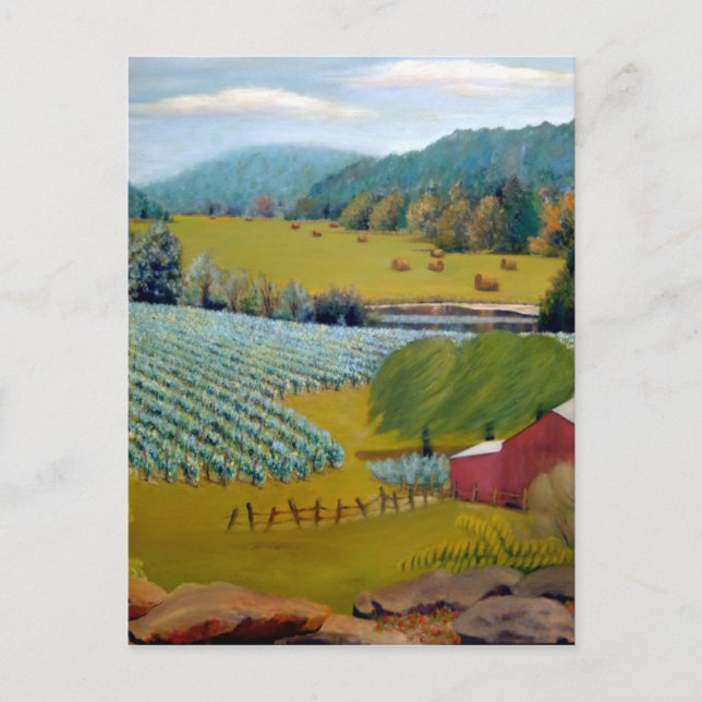 Postal Hermoso viñedo de la granja Augusta Missouri (Anverso)