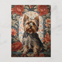 Hermoso Yorkie | Retrato Terrier de Yorkshire