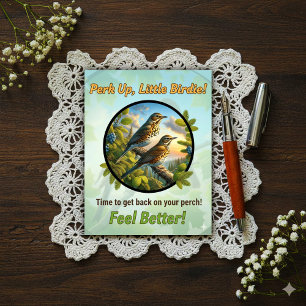 Postal Hermoso Zorzal de Bicknell Mejora 