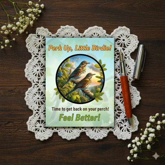 Postal Hermoso Zorzal de Bicknell Recupérate  (Subido por el creador)