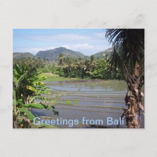 Postal Hermosos arrozales de Bali
