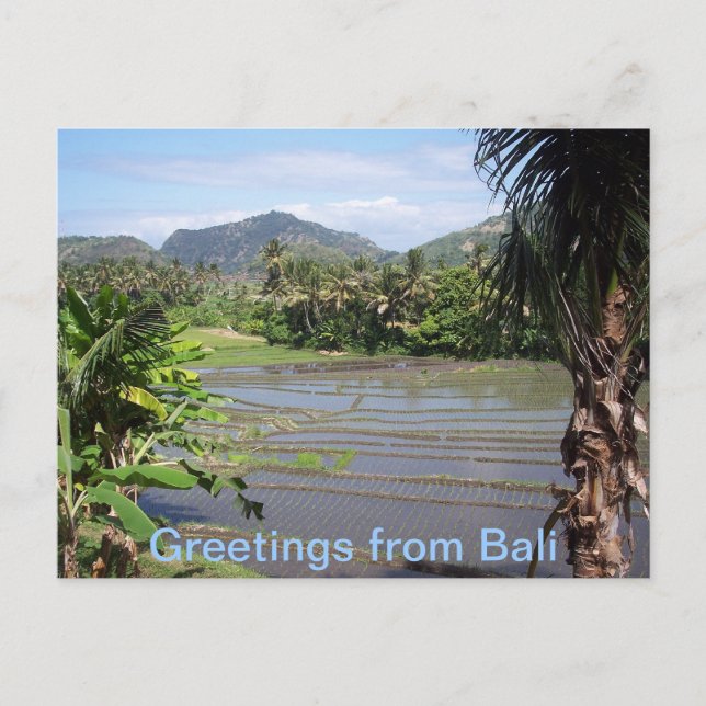 Postal Hermosos arrozales de Bali (Anverso)