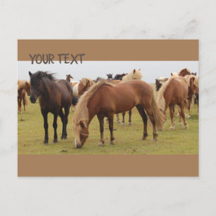 Postal Hermosos caballos marrones