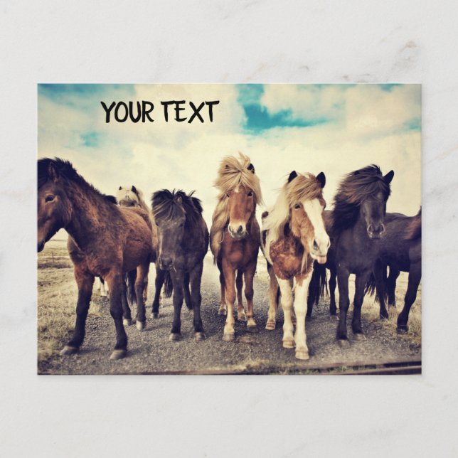 Postal Hermosos caballos salvajes (Anverso)