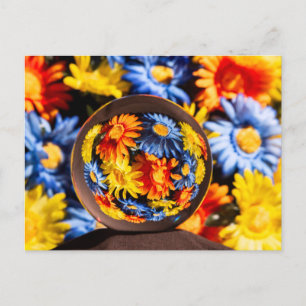 Postal Hermosos colores de flores orb