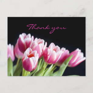 Postal Hermosos Tulipanes Rosa
