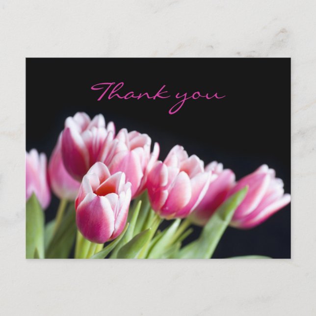 Postal Hermosos Tulipanes Rosa (Anverso)