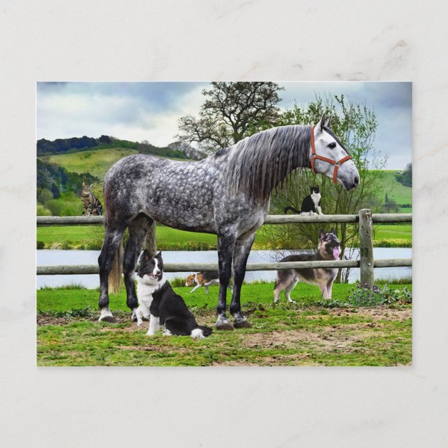 Postal "Hero & The Boys" (Anverso)