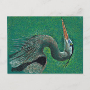 Postal Heron