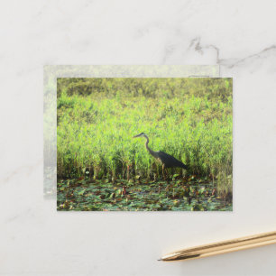 Postal Heron 6449