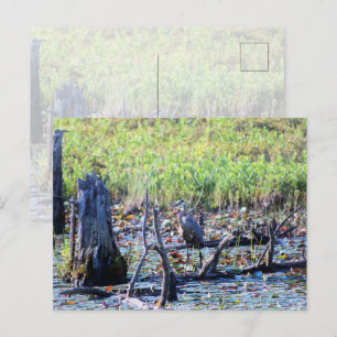 Postal Heron 6467