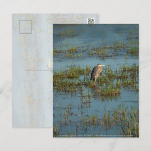 Postal Heron 6937