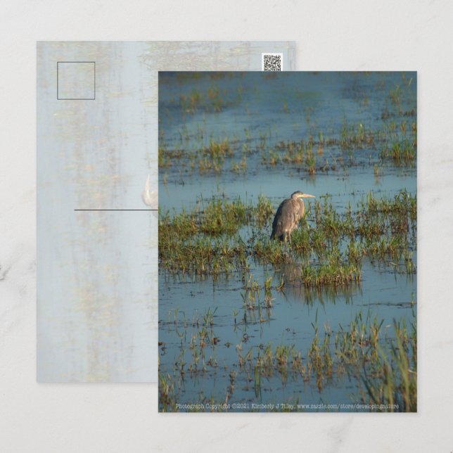 Postal Heron 6937 (Anverso / Reverso)