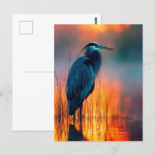 Postal Heron azul al amanecer