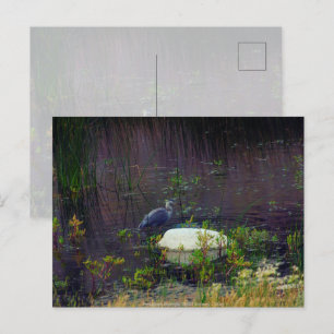 Postal Heron P9687