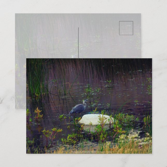 Postal Heron P9687 (Anverso / Reverso)