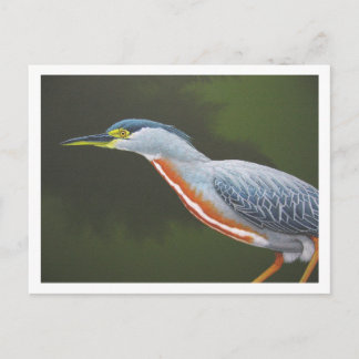 Postal Heron Stried