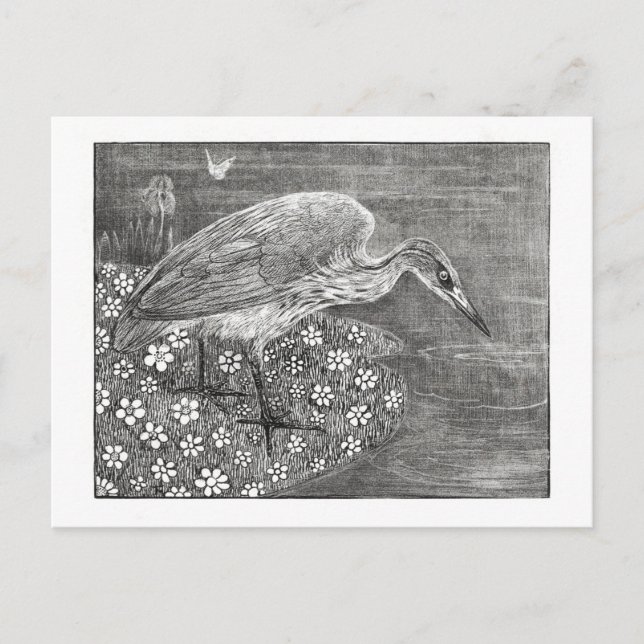 Postal Heron - Theo van Hoytema - Arte de época (Anverso)