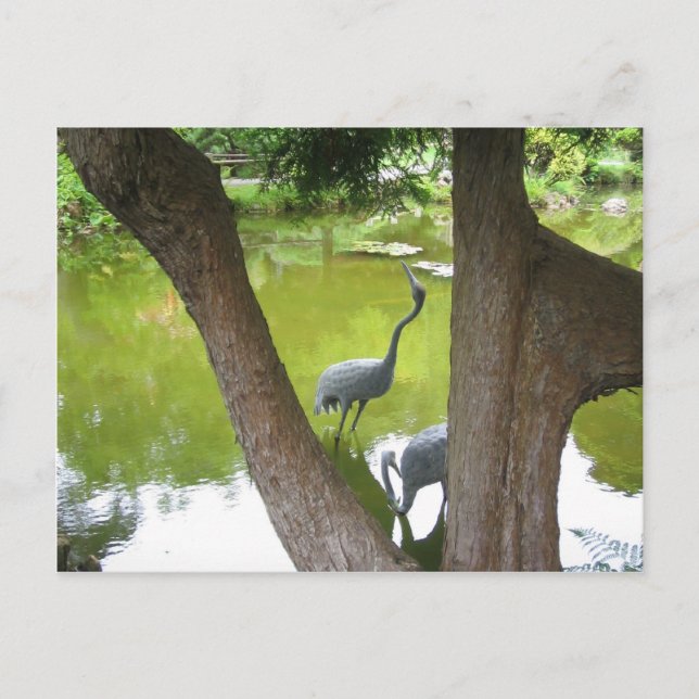 Postal Herons (Anverso)