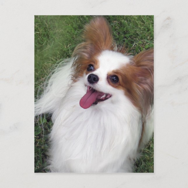 Postal Hershey Kiss Hero Madi Merchandise (Anverso)