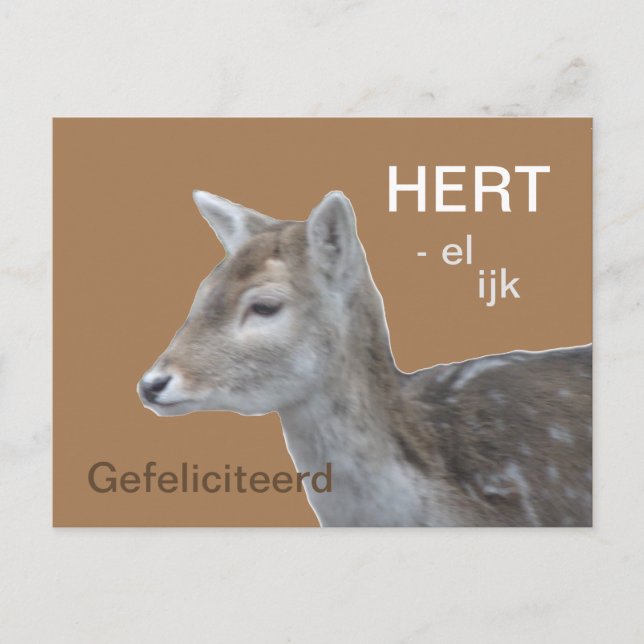 Postal HERTelijk Gefeliciteerd Verjaardags Briefkaart (Anverso)