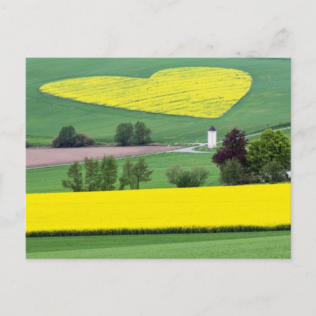 Postal Herzlich (Anverso)