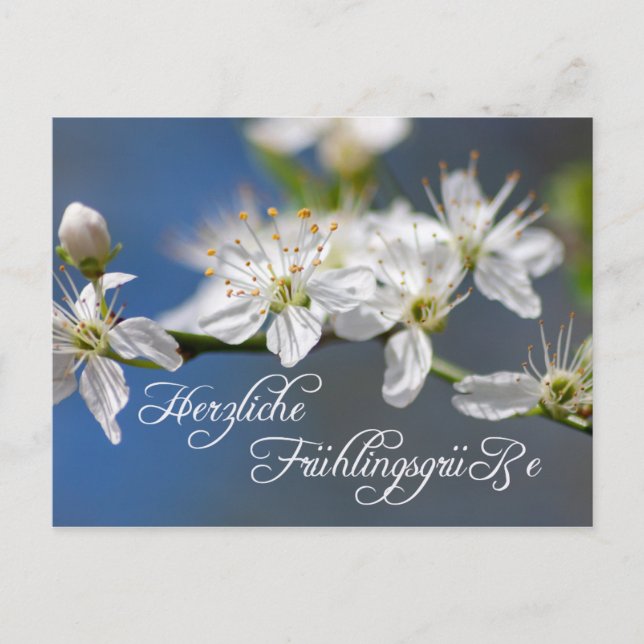 Postal Herzliche Frühlingsgrüße (Anverso)