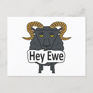 Postal Hey Ewe Funny Sheep Pun
