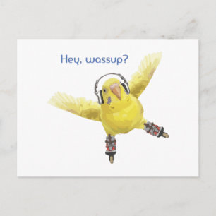 Postal Hey Wassup Periquito Patinador con Auriculares