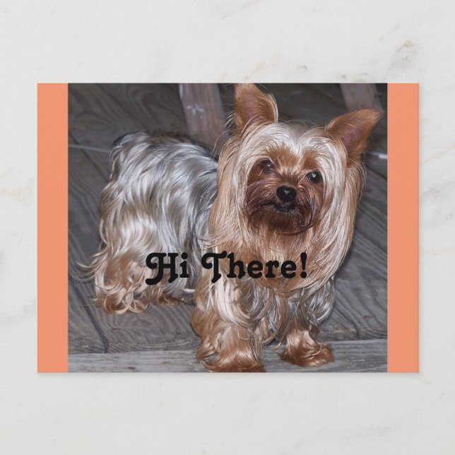 Postal Hi There Yorkshire Terrier (Anverso)