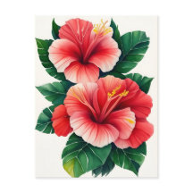 Hibisco Rojo Claro Tropical de Hawái