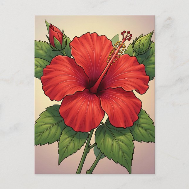 Postal Hibisco Rojo Tropical Audaz (Anverso)