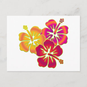 Postal hibisco trio