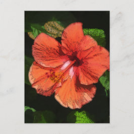 Postal Hibiscus 424