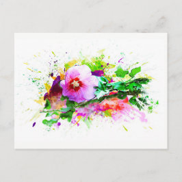 Postal Hibiscus, Hibiskus Flower - Watercolor Splash