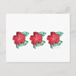Postal Hibiscus Postcard