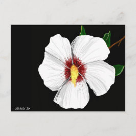 Postal Hibiscus Postcard