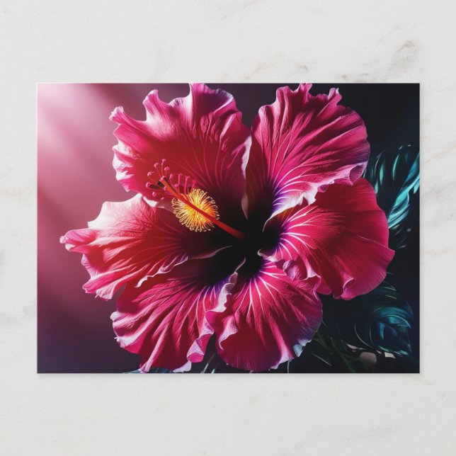 Postal Hibiscus radiante en flor (Anverso)