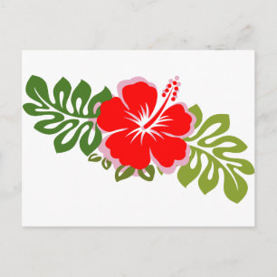 Postal Hibiscus rojo y hojas