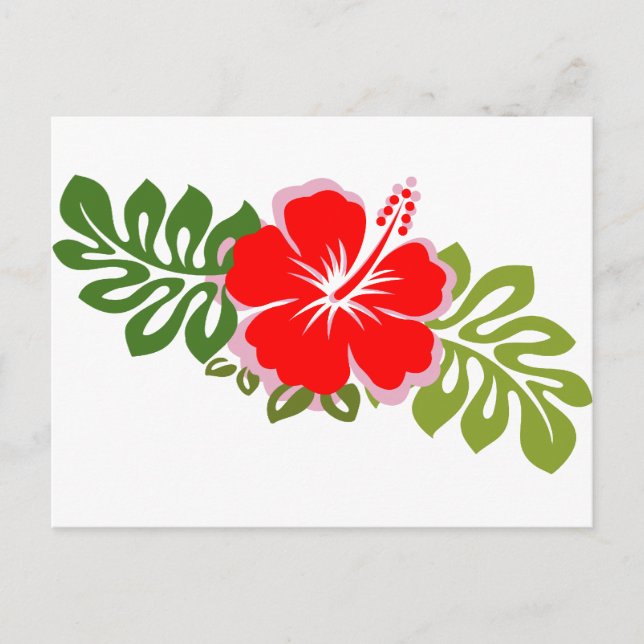 Postal Hibiscus rojo y hojas (Anverso)