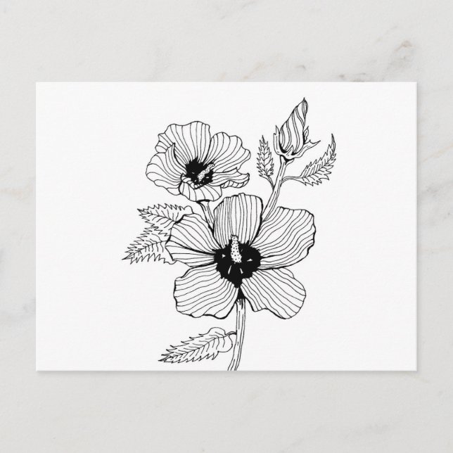 Postal Hibiscus Rosa de Sharon Flower (Anverso)