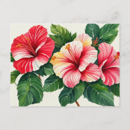Postal Hibiscus Tropical Red Hawaii