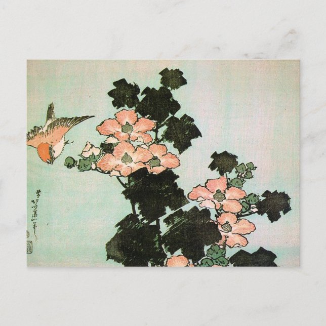 Postal Hibiscus y Sparrow (Anverso)