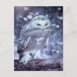 Postal Hibou des neiges