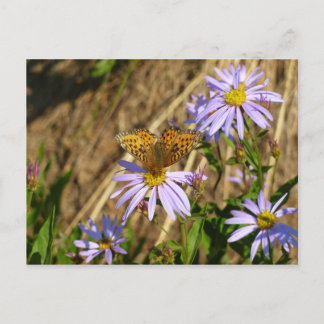 Postal Hidaspe Fritillary sobre las flores de manzano mor