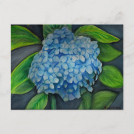 Postal Hidrangea pintura acuarela Postcard