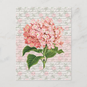 Postal Hidrangea Vintage Dream