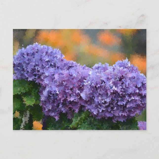 Postal Hidrangeas impresionistas (Anverso)