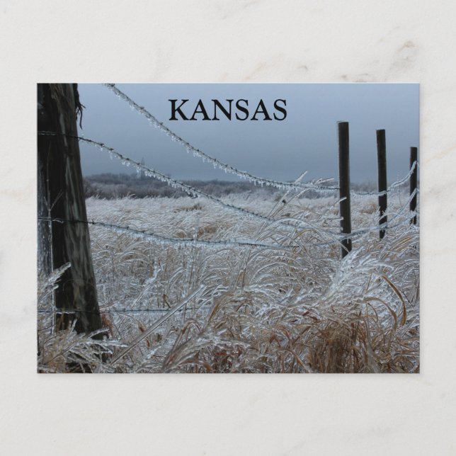 Postal Hielo de Kansas en una valla (Anverso)