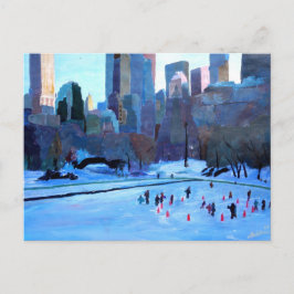 Postal Hielo E Invierno De New York Central Park En Manha